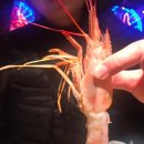 현지마트 이미지