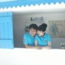 청룡아중합기도체육관 이미지