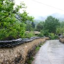 돌담추억 이미지