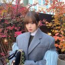시아디자인 이미지