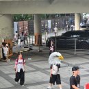 야구쟁이 | 🪼 해파리 신고 🚨