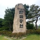 탄금공원 (탄금대로 방향) 이미지