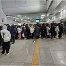 골드라인