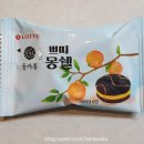 쁘띠제주