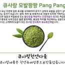 큐사랑우아동