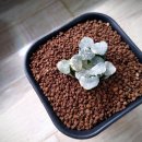 만상농장 이미지