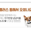 심바동물병원 이미지