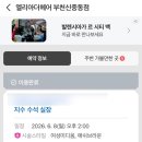 아이비303 | 신중동 미용실 엘리아더 헤어 | 애쉬브라운 염색 후기 🤎