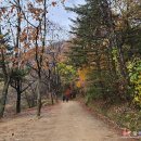 3관문 휴게소 화장실 이미지