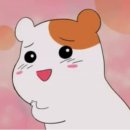곱선생 이미지
