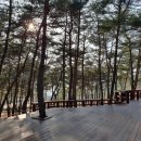 지리산정원 이미지