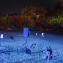 금강교옆 공원 이미지