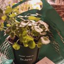 정글스토어 이미지