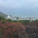 청사포와봄