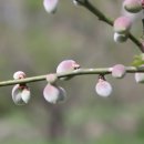 청포농장 이미지