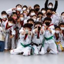 라이온태권도 이미지