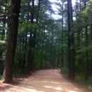 월정사 화장실 이미지