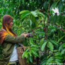 KNP 인터네셔널 이미지