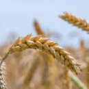 화곡8동 주민센터 이미지