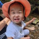 빽빽상회 이미지