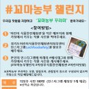 꼬마식품