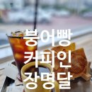 양과자와 커피파는집 | 붕어빵 파는 구미 신평동 핸드드립카페'커피인장명달 신평본점' 후기