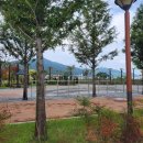 자연생태공원 잔디광장 옆 이미지