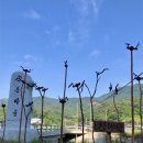 근교산행 (속리산국.공-칠보산) 이미지