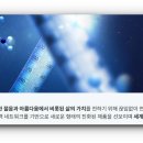 옥토메딕스