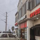 고우니.제주를담다