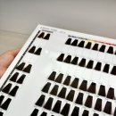 가장아름다운날(미용실) | 영등포미용실 에이저헤어 퍼스널 헤어컨설팅으로 인생 애쉬브라운 찾음!