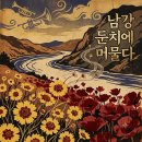 기생초(가는잎금계국)와 개양귀비(꽃양귀비)의 야외 공연 이미지
