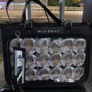미야즈와 교토여행 (JR도카이 × 하이큐 콜라보 후기)