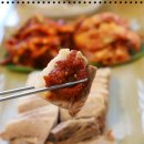 청산별곡 네이버블로그