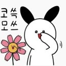 보릿돌카페