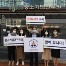 스테이 산하 이미지