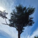 도학초등학교 이미지