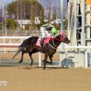 연승축산