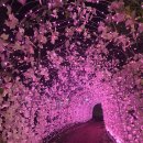 가든빛스테이 | 가평 더스테이힐링파크, 카페 나인블럭, 포레스트, 가든룸 숙박후기