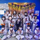 경희대 파란 태권도 이미지