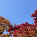 늘푸른전당 공연장 | 국립발레단 지젤 2025 시즌 관람 후기_본격 귀신발레극(예술의 전당 좌석, 지젤 스토리, 커튼콜, 예매팁)