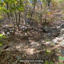 수도녹지사업소 이미지