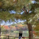 까치성인게임장(일-117호) | 용인 민속촌 야간개장/귀굴/놀이공원 뿌셔 뿌셔