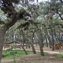 먹태나라 이미지