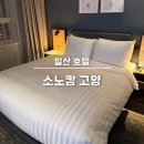 씨유 소노캄이스트점 | 일산 킨텍스 주변 호텔 소노캄 고양 웨스트 타워 더블룸 내돈내산 후기