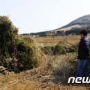 성읍리-26 이미지