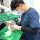 장신경과의원 | 등촌동 사랑니, 안전한 발치를 위해 이 2가지를 기억하세요