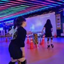 샛터코아