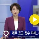 2023. 5. 4. 제주 곳곳서 침수 피해 잇따라…비구름 전국으로 확대 / SBS 이미지