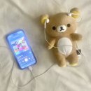 주차22 티스토리